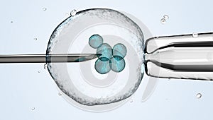 Cell is holding by a pipet and a neeldle.