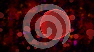 Cell, Human Cell, Animal Cell.