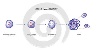 Cell malignancy process photo