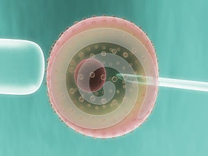 Cell manipulation