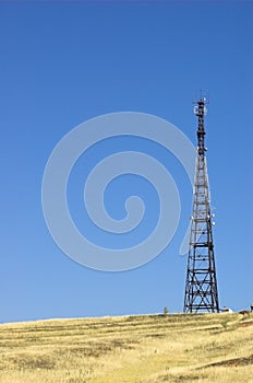 Cell mast