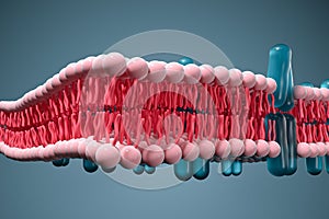 Cell membrane and biology, biological concept, 3d rendering