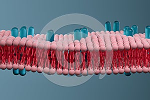 Cell membrane and biology, biological concept, 3d rendering