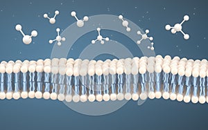 Cell Membrane and Molecules, 3d rendering