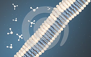 Cell Membrane and Molecules, 3d rendering