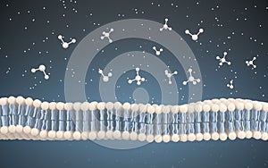Cell Membrane and Molecules, 3d rendering