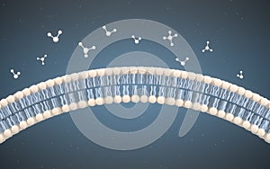Cell Membrane and Molecules, 3d rendering
