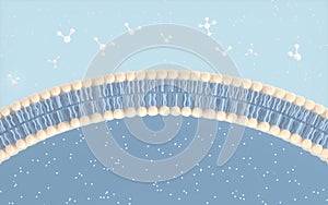 Cell Membrane and Molecules, 3d rendering