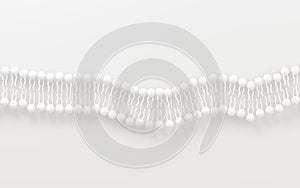 Cell membrane with white background, 3d rendering