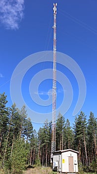 Cell phone antenna in the middle of the forest