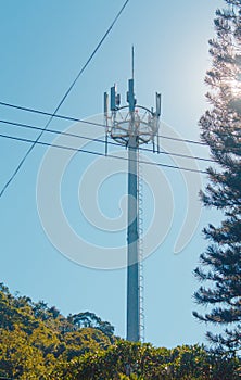 Cell Phone Antenna Tower in the middle of a natural park.