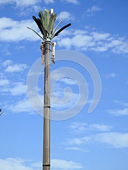 Mobilní telefon věž v nebo buněčný telefon anténa v přestrojení na falešný palma strom umístěny na vlastní podél dálnice a 