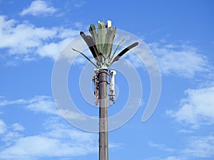 cell phone tower in Egypt or cellular phone antenna disguised on fake palm tree placed at proper intervals along highways and