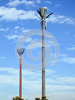 cell phone tower in Egypt or cellular phone antenna disguised on fake palm tree placed at proper intervals along highways and