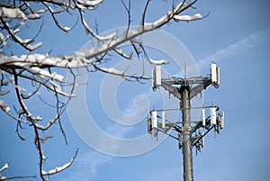 Cell Phone Tower Framed by Snowy Branch