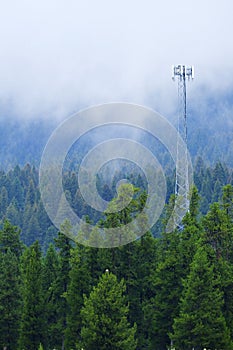 Cell Phone Tower Radio Antenna For Communication Misty Pine Forest Mountains