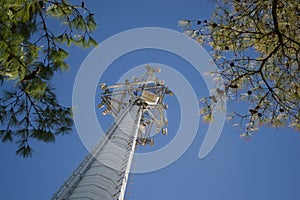 Cell Phone Tower Reaching to the Sky