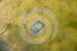 Cell Phone in water photo