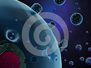 A cell secreting exosomes and microvesicles