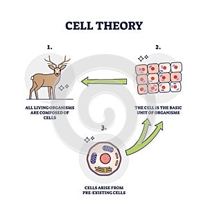 Cell theory for evolution and pre existing cells development outline diagram photo