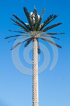 Cell tower disguised as a palm in Abu Dhabi, United Arab Emirat