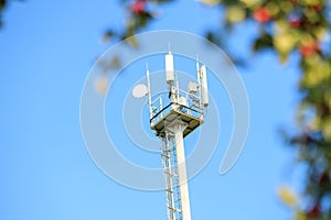 Cell tower photographed through trees against a blue sky