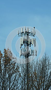 Cell tower technology and bald eagle