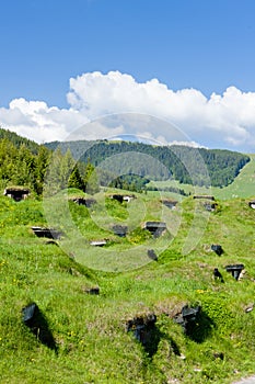 Cellaars in Liptovska Teplicka, Slovakia