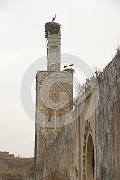 Cellah - ancient Roman palace and necropolis