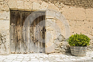 Cellar door