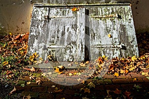 Cellar Door and Leaves