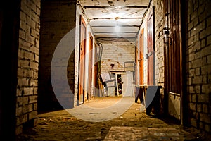 Cellar vault lamp light night door