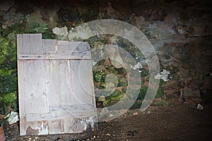 Cellar vault with verdigris photo