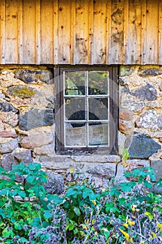 Cellar window on an old house with a wild garden