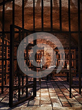 Cellar with wine bottles