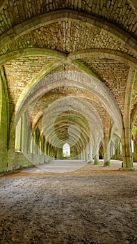 Cellarium of Fountains Abbey