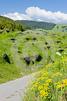 Cellars, Slovakia