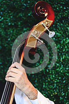 Cellist hands playing orchestra music. Cello player with focus on the hand, close up picture. Musician playing bass violoncello.