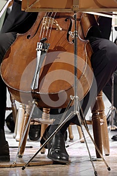 Cellist man at a classical music concert in the city of naples
