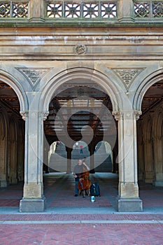 Cellist playing at Bethesda Terrace, Central Park, NYC