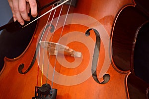 Cellist playing cello photo