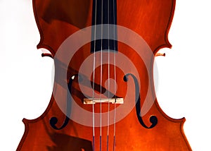 Cello closeup in dramatic light