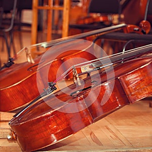 Cello closeup