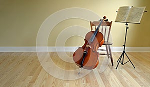 Cello concert or recital photo