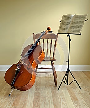 Cello concert or recital photo