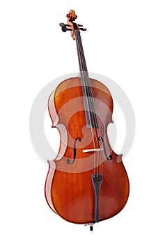 Cello isolated on white background photo