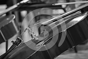 Cello lying on the stage closeup