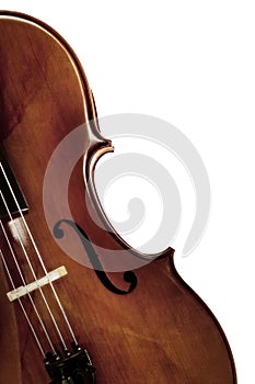 Cello over White photo