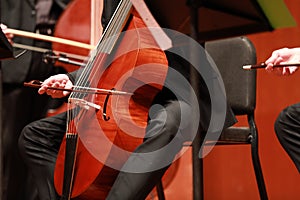 Cello player. Composer, music. Portrait of cellist playing classical music on cello on black background. Copyspace.