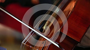 Cello playing close-up